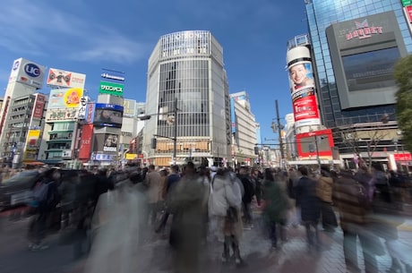 辛集房屋出租 重则对个人处1万元以上5万元以下的罚款