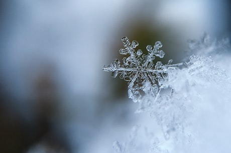 冰雪融化：全球气候变暖的显著标志